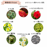 こうめにくちづけ / ビズー ア コウメ